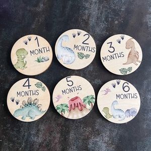 Dinosaur Milestone Cards, Baby Milestone Dinosaur Discs Marker